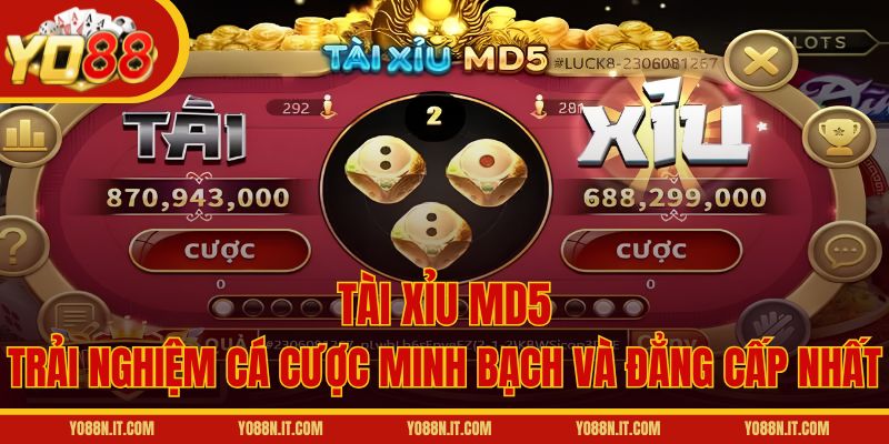 Tài Xỉu MD5 – Trải Nghiệm Cá Cược Minh Bạch Và Đẳng Cấp Nhất