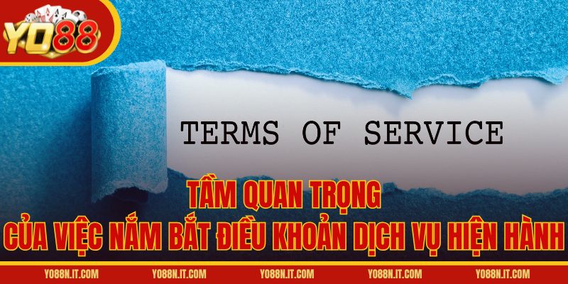 Tầm quan trọng của việc nắm bắt điều khoản dịch vụ hiện hành